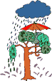 Regen Baum